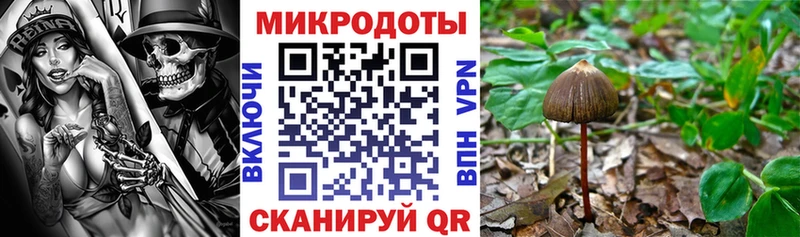 blacksprut маркетплейс  Нижняя Тура  Галлюциногенные грибы мицелий 